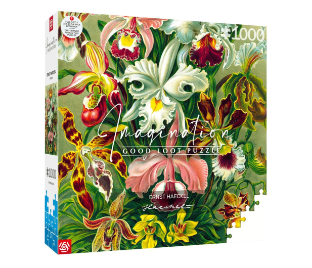 Merch Imagination Puzzle: Ernst Haeckel Orchidea / Orchid 1000 ele - 1275295 - zdjęcie